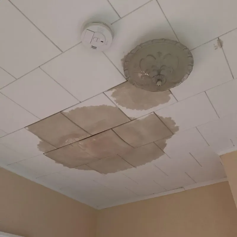 Ceiling Water Damage Repair in Verona, KY