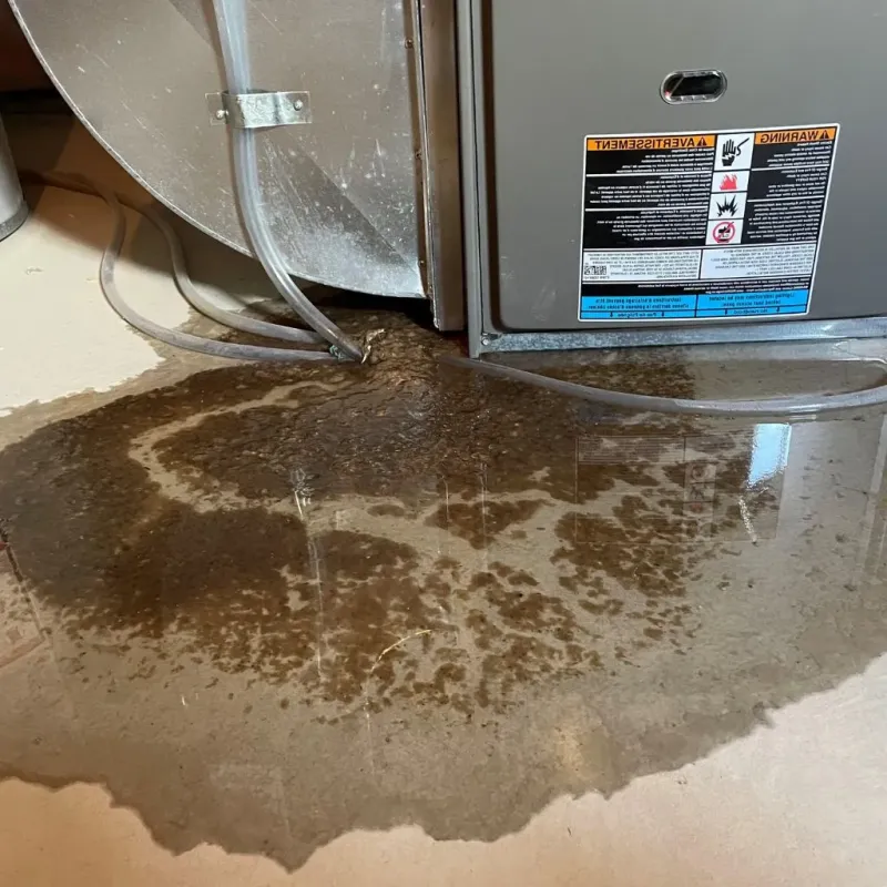Pipe Burst and Leak Restoration in Verona, KY